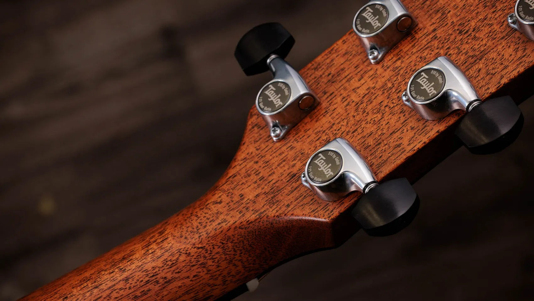 Đàn Guitar Acoustic Taylor Gold Label 817e
