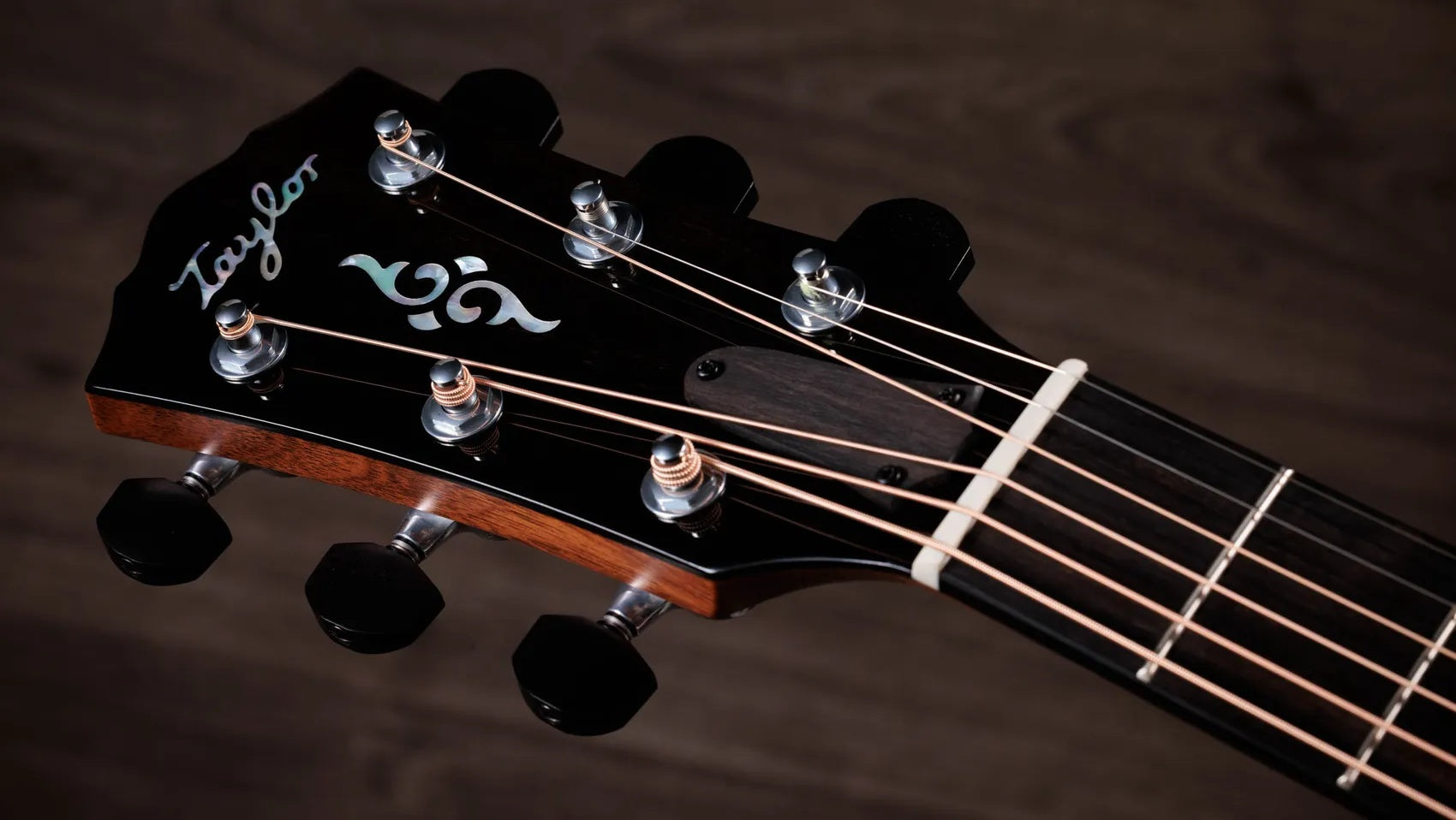 Đàn Guitar Acoustic Taylor Gold Label 817e