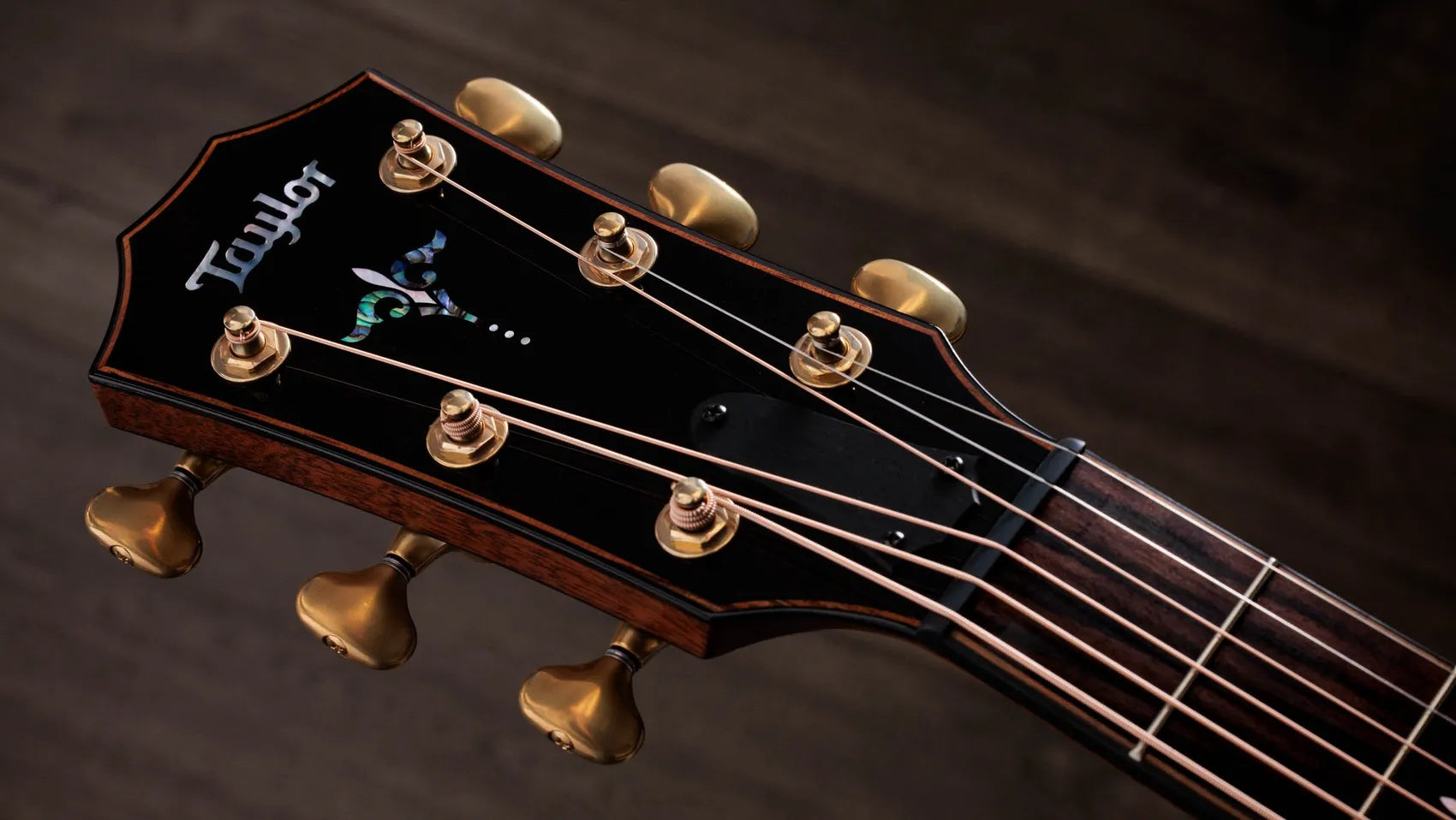 Đàn Guitar Acoustic Taylor Builder's Edition 914ce LTD Macassar Ebony - Shaded Edge Burst