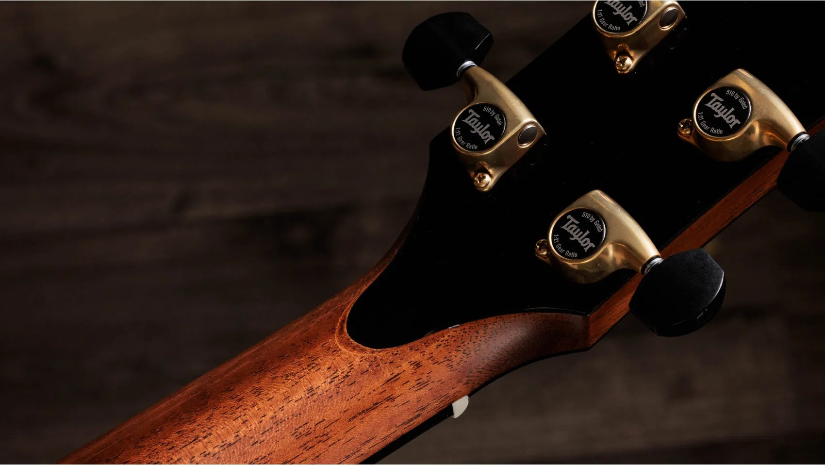 Đàn Guitar Acoustic Taylor Gold Label 914e