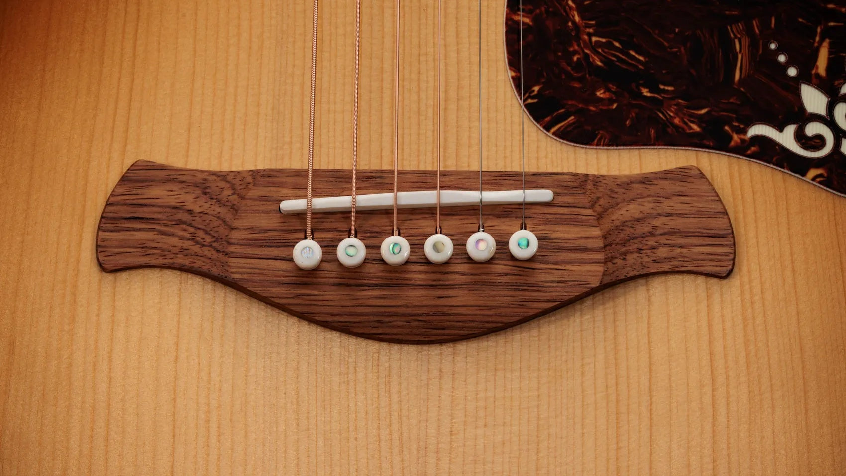 Đàn Guitar Acoustic Taylor Gold Label 914e
