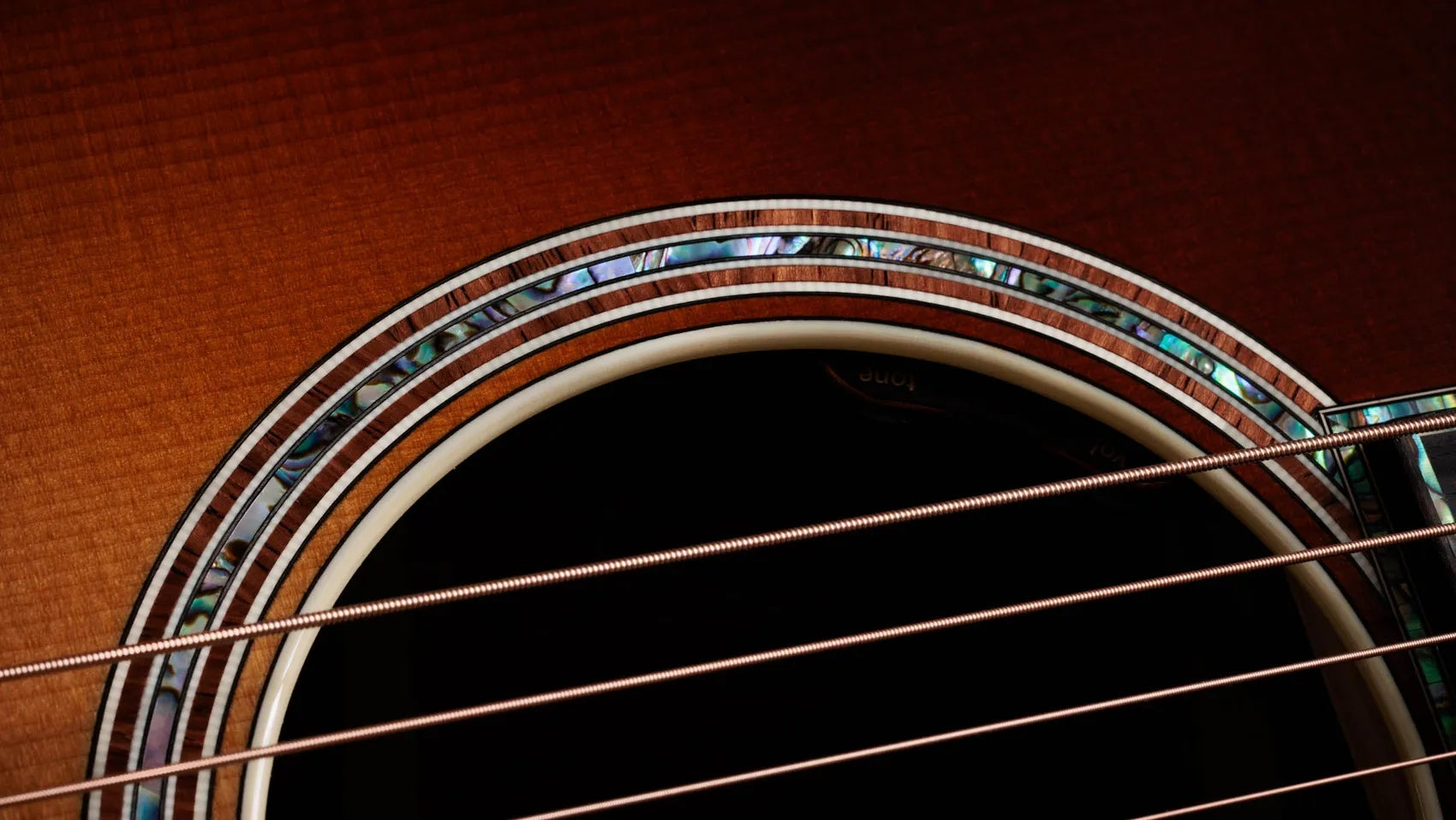Đàn Guitar Acoustic Taylor Gold Label 917e