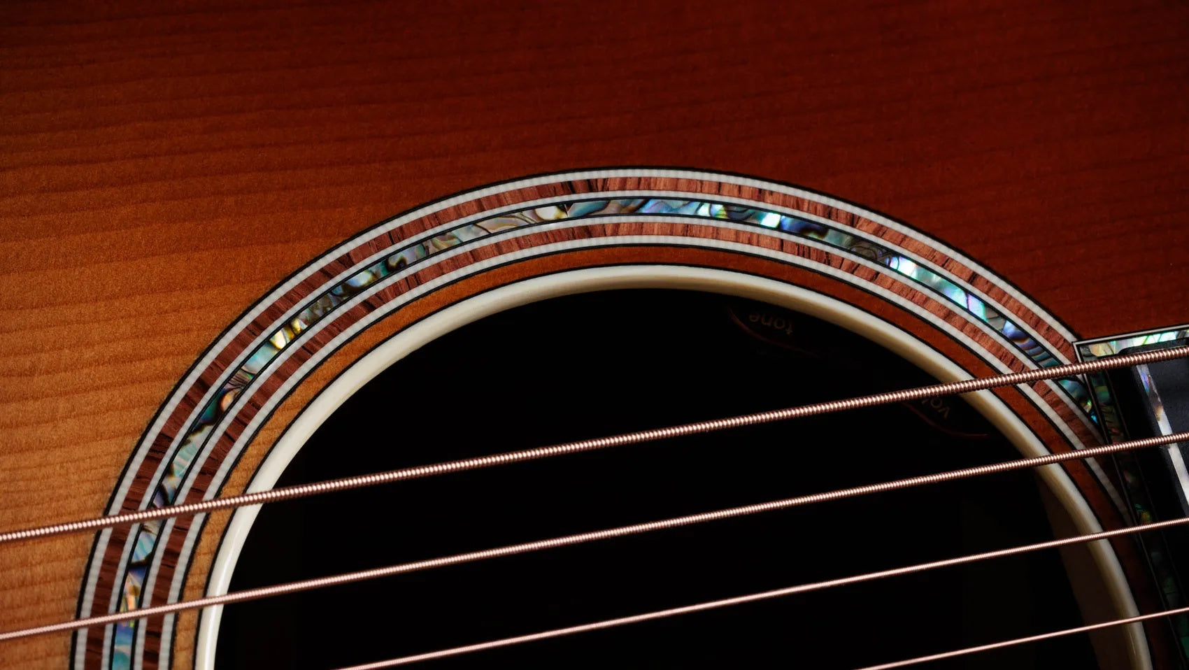 Đàn Guitar Acoustic Taylor Gold Label 914e