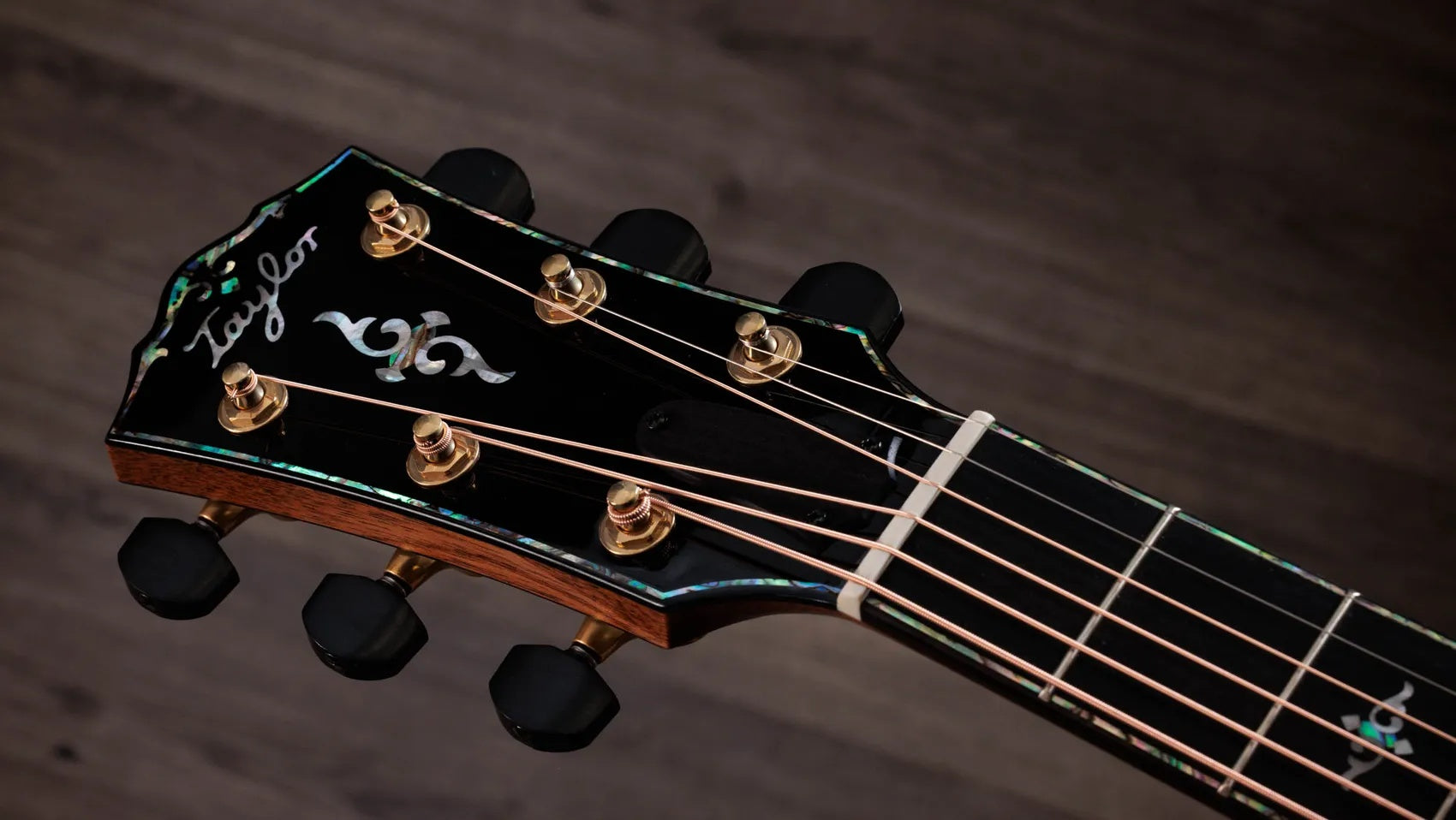 Đàn Guitar Acoustic Taylor Gold Label 914e