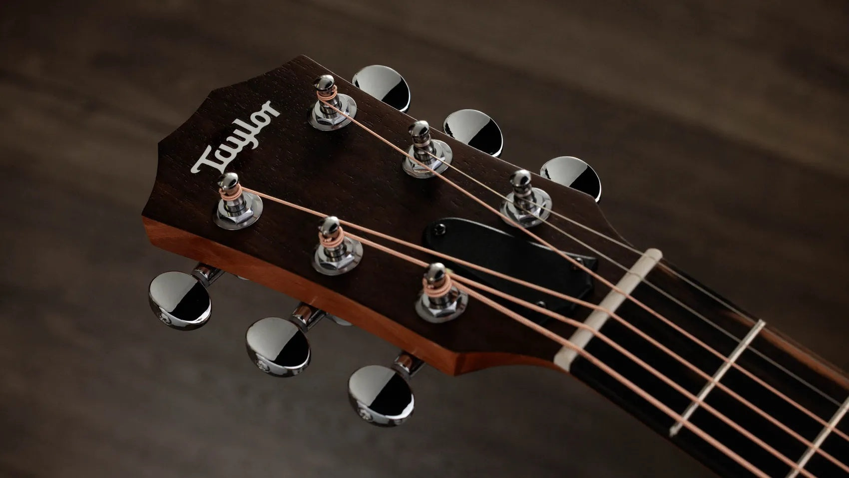 Đàn Guitar Acoustic Taylor GS Mini-e Rosewood