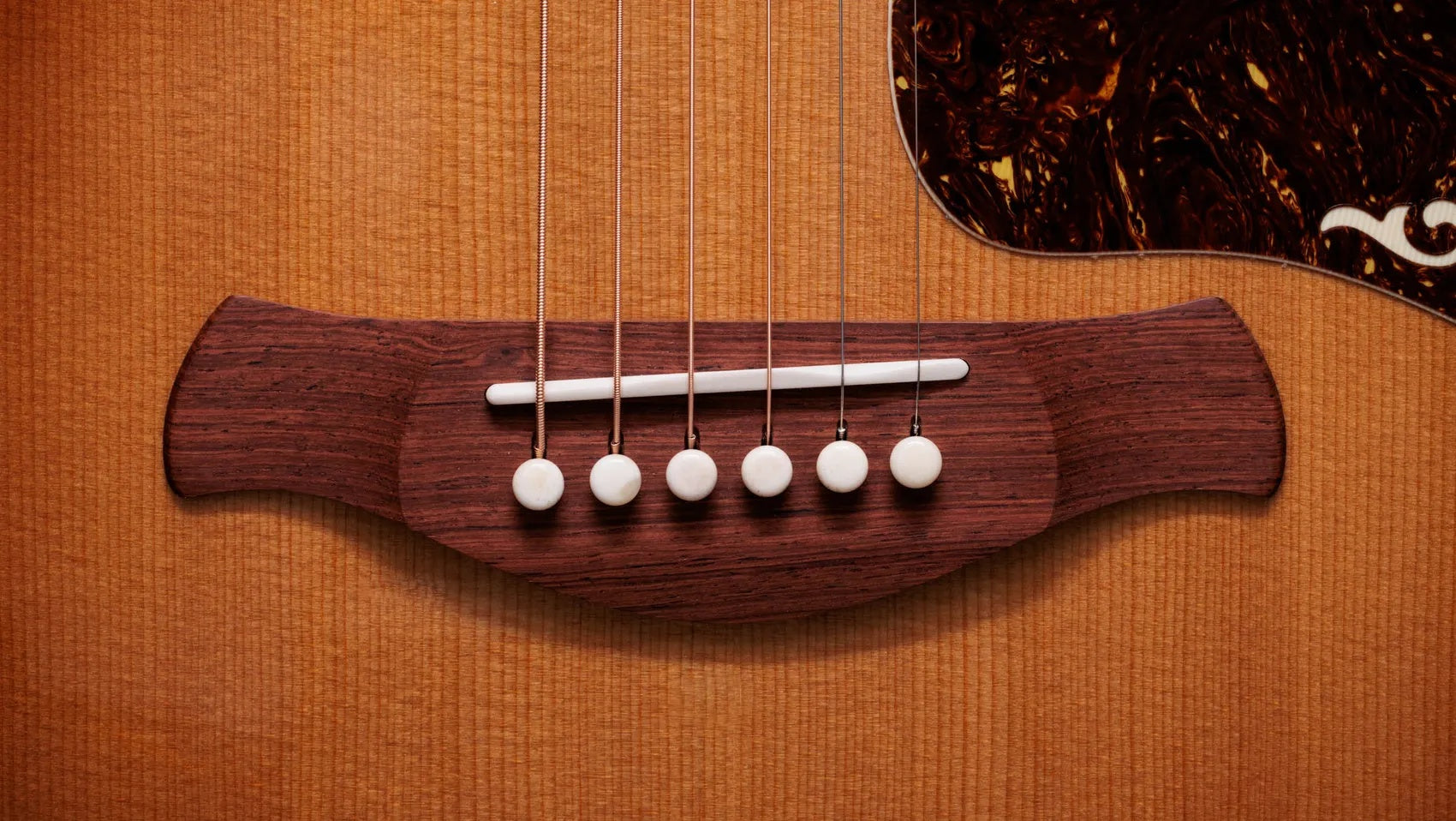 Đàn Guitar Acoustic Taylor Gold Label K14e