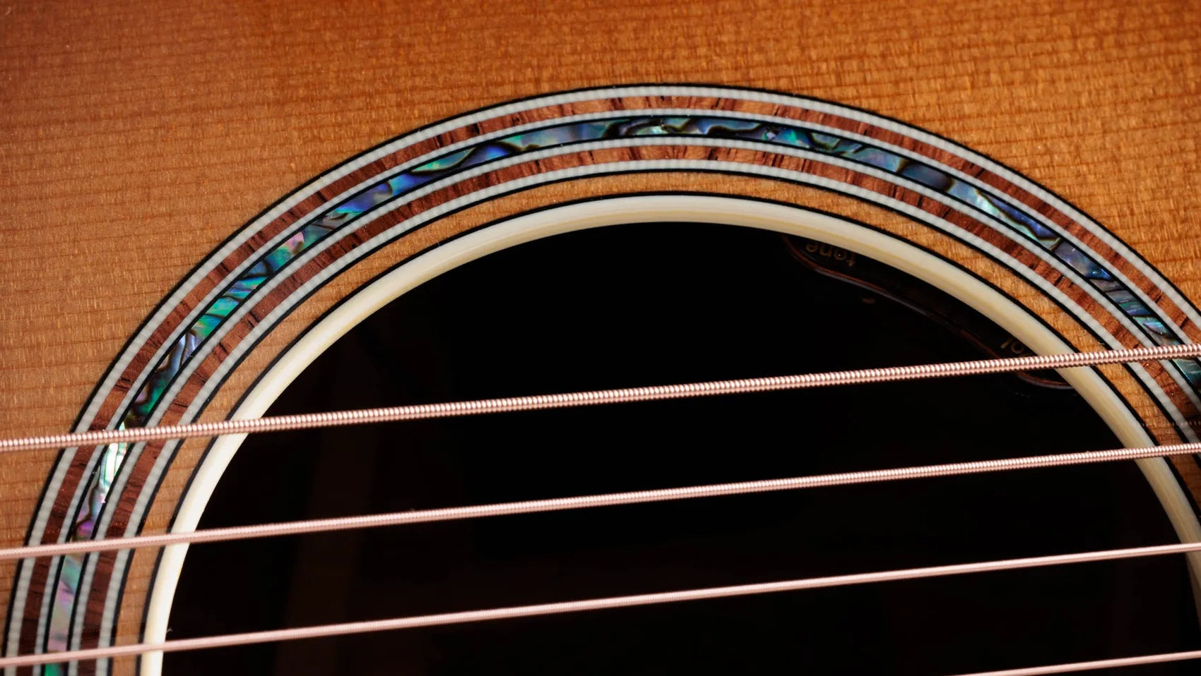 Đàn Guitar Acoustic Taylor Gold Label K14e