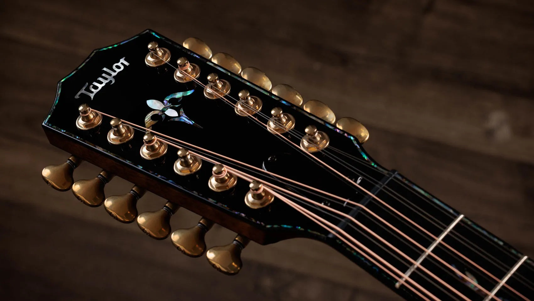 Đàn Guitar Acoustic 12-dây Taylor Next Generation PS54ce - Natural
