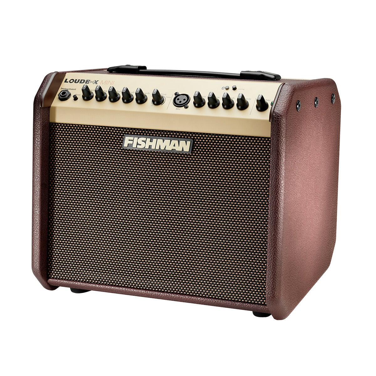 Amplifier Fishman Loudbox Mini Bluetooth 60W-Mai Nguyên Music