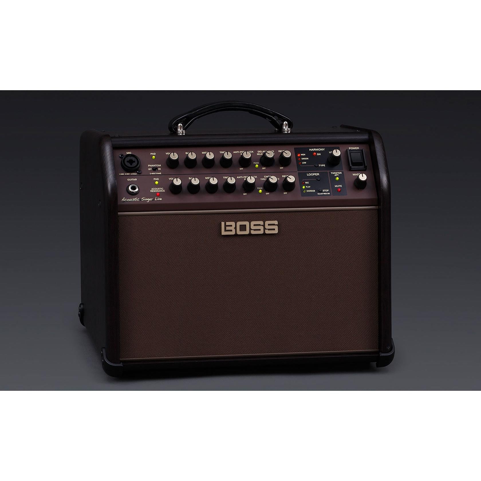 Amplifier Guitar Boss Acoustic Singer Live (ACS Live) 60-watt - Combo-Mai Nguyên Music