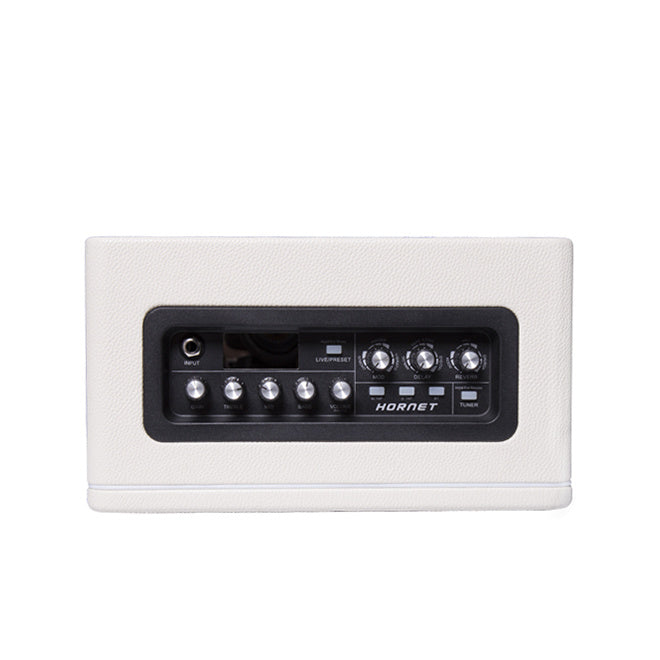 Amplifier Guitar Mooer Hornet 15 - Combo-Mai Nguyên Music