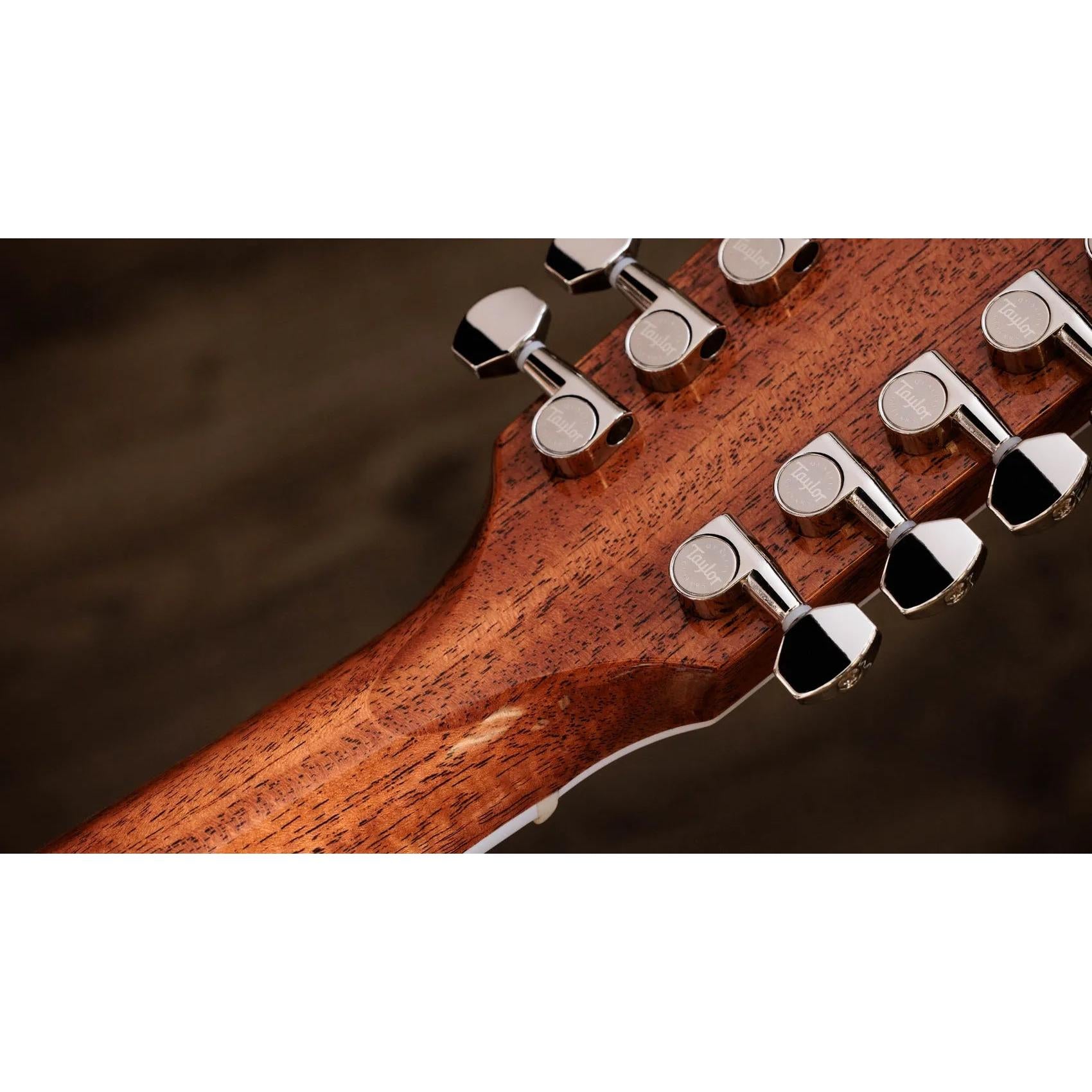 Đàn Guitar Acoustic 12-dây Taylor Legacy 855e - Natural-Mai Nguyên Music