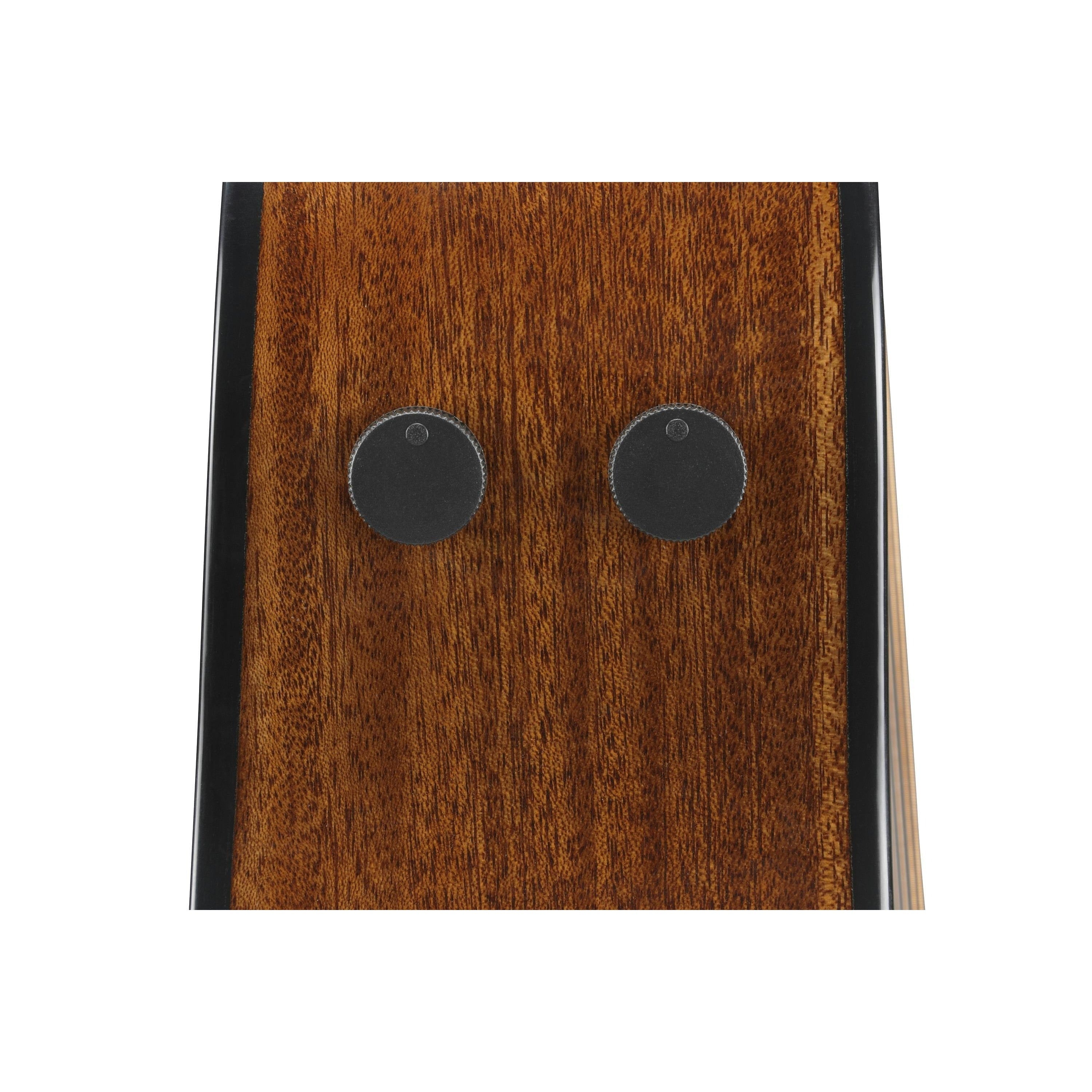 Đàn Guitar Acoustic Advanced Acoustic Ibanez AAM300CE-Mai Nguyên Music