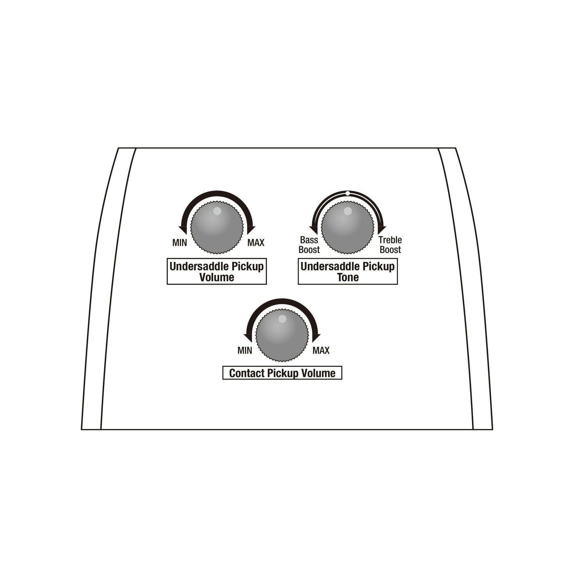Đàn Guitar Acoustic Advanced Acoustic Platinum Ibanez AAM780E-Mai Nguyên Music