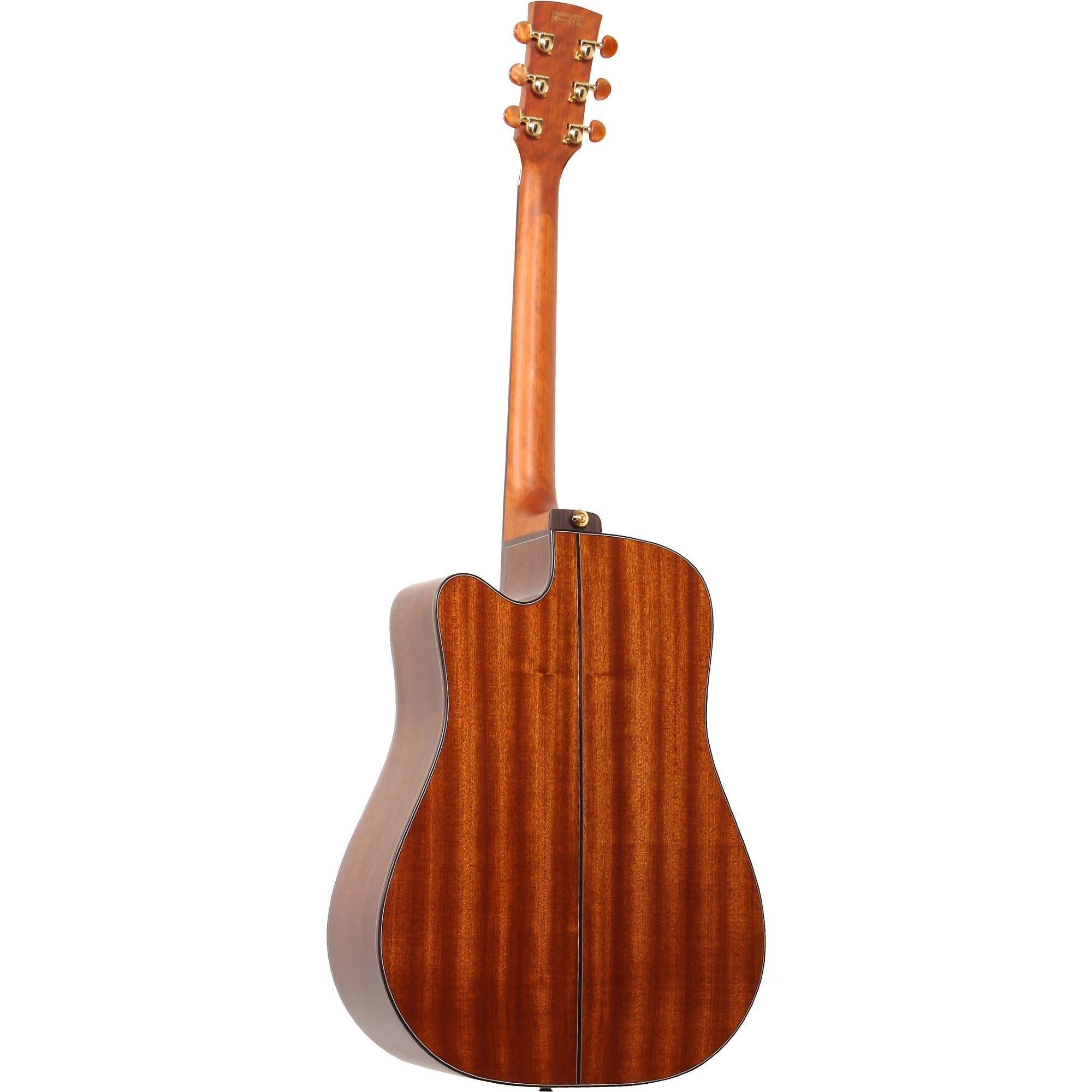 Đàn Guitar Acoustic Artwood Ibanez AW3000CE-Mai Nguyên Music
