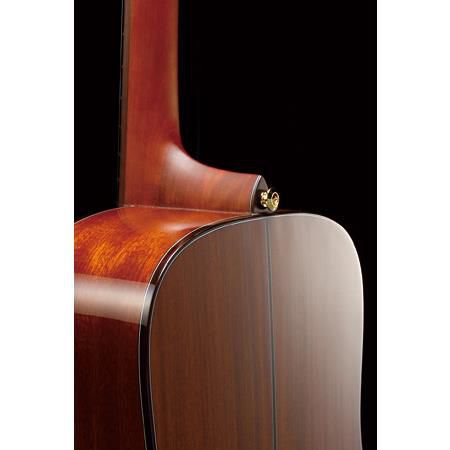 Đàn Guitar Acoustic Arwood Ibanez AC3000-Mai Nguyên Music