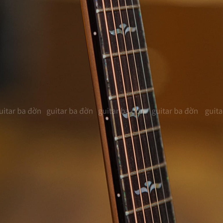 Đàn Guitar Acoustic Ba Đờn T-720-Mai Nguyên Music