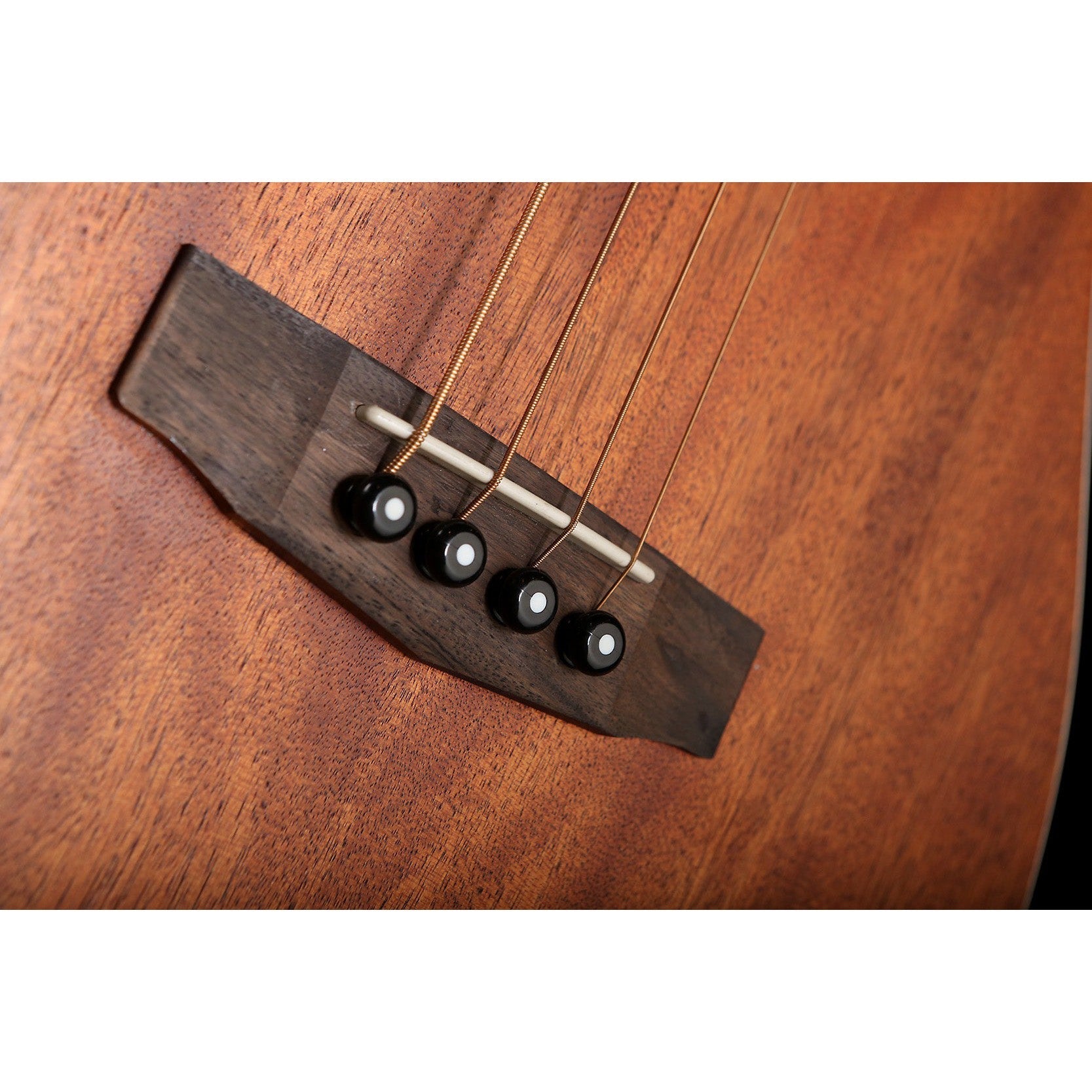 Đàn Guitar Acoustic Bass Cort AB590MF-Mai Nguyên Music