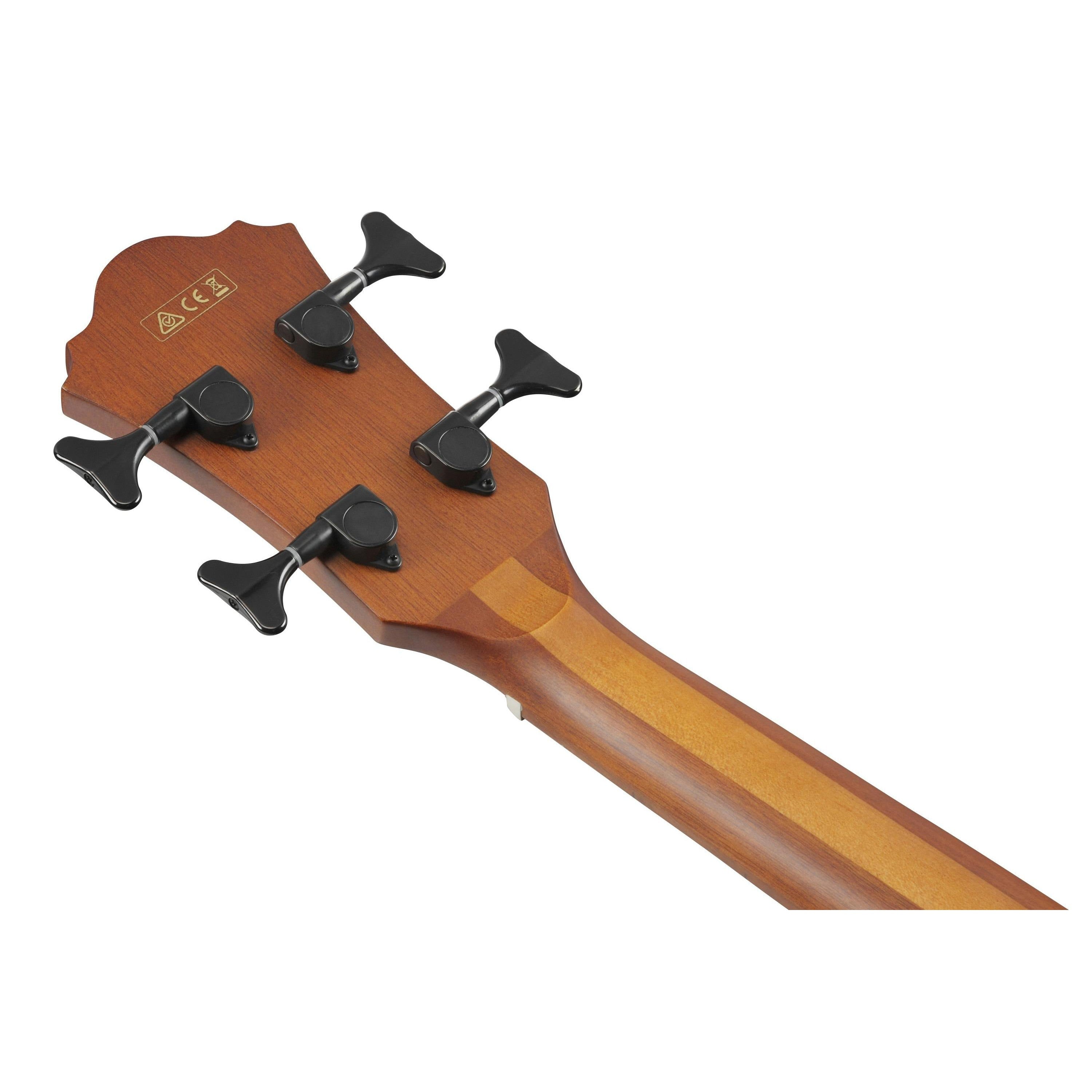 Đàn Guitar Acoustic Bass Ibanez AEGB24E-Mai Nguyên Music