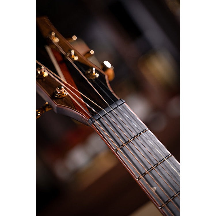 Đàn Guitar Acoustic Cort Abstract Delta-Mai Nguyên Music