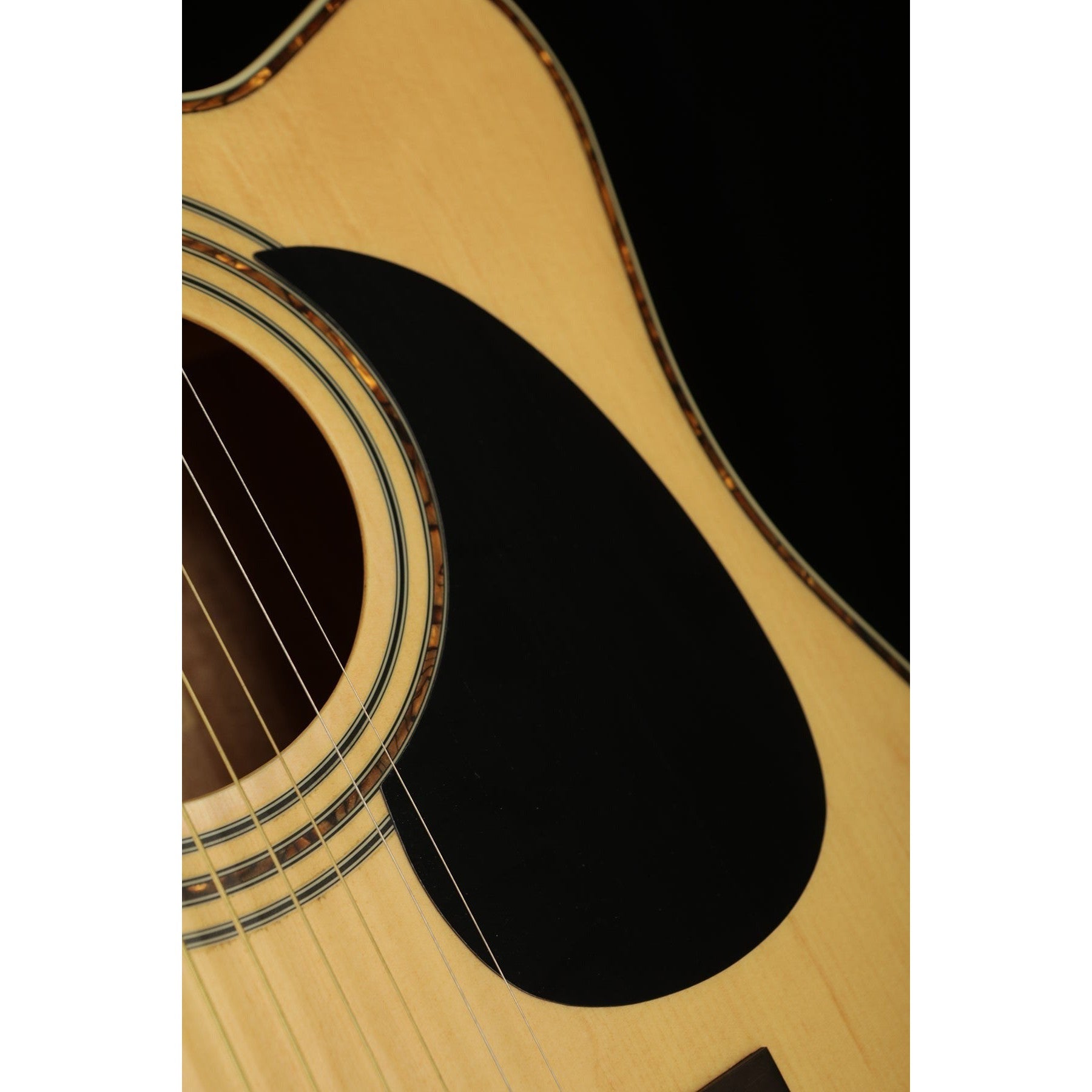 Đàn Guitar Acoustic Cort AD880CE-Mai Nguyên Music