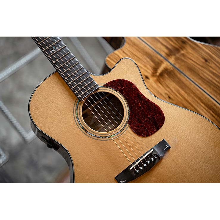 Đàn Guitar Acoustic Cort Gold-A6 Bocote-Mai Nguyên Music