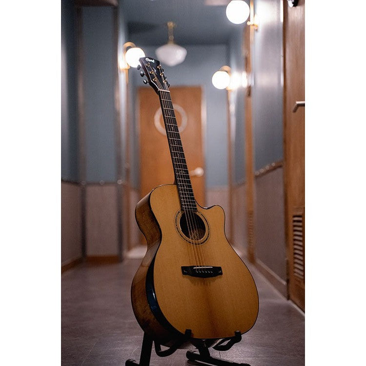 Đàn Guitar Acoustic Cort Gold-Edge-Mai Nguyên Music