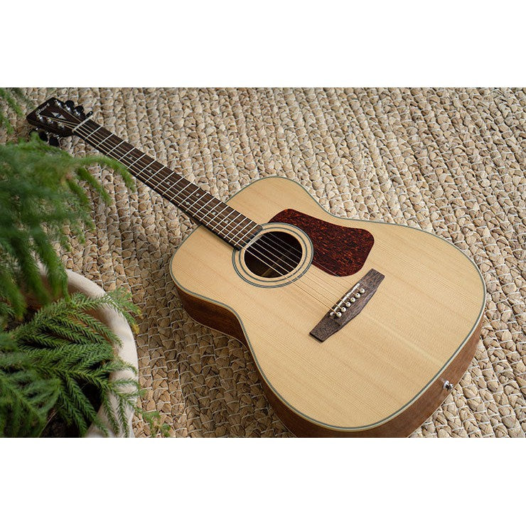 Đàn Guitar Acoustic Cort L100C-Mai Nguyên Music