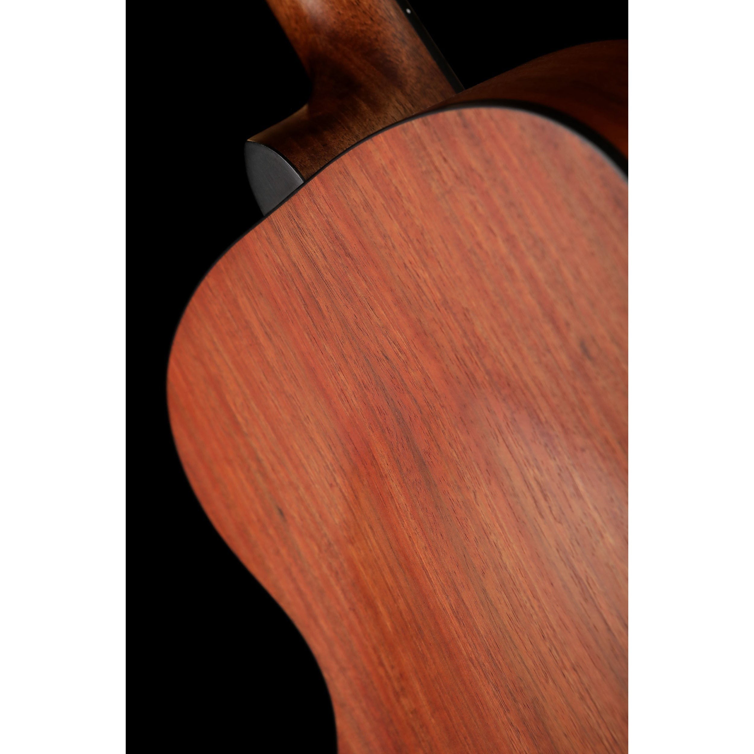 Đàn Guitar Acoustic Cort Little CJ Blackwood-Mai Nguyên Music