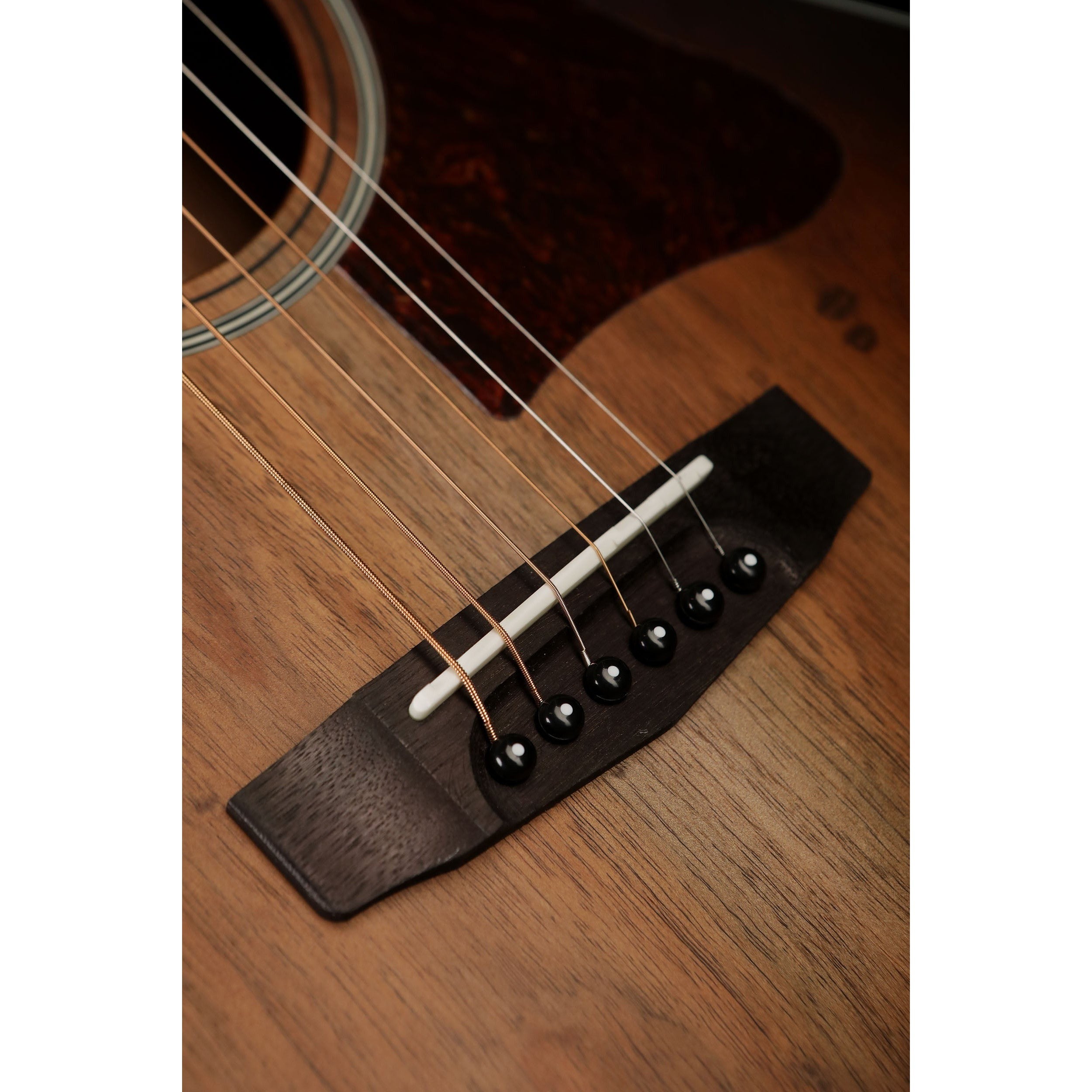 Đàn Guitar Acoustic Cort Little CJ Blackwood-Mai Nguyên Music