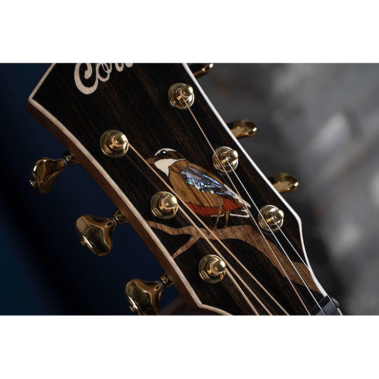 Đàn Guitar Acoustic Cort Little Forest Angel Limited Edition-Mai Nguyên Music