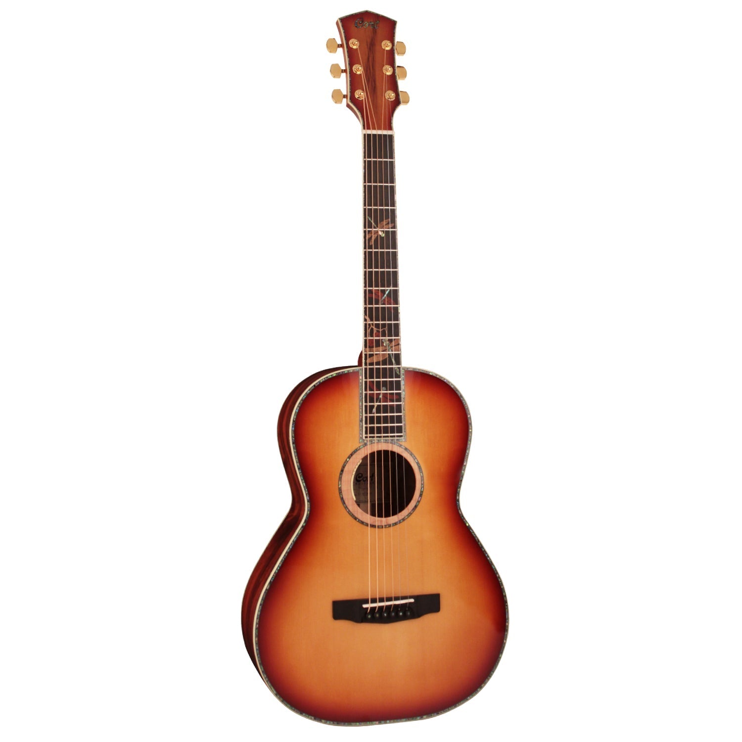 Đàn Guitar Acoustic Cort PR-LE MY Limited Edition-Mai Nguyên Music