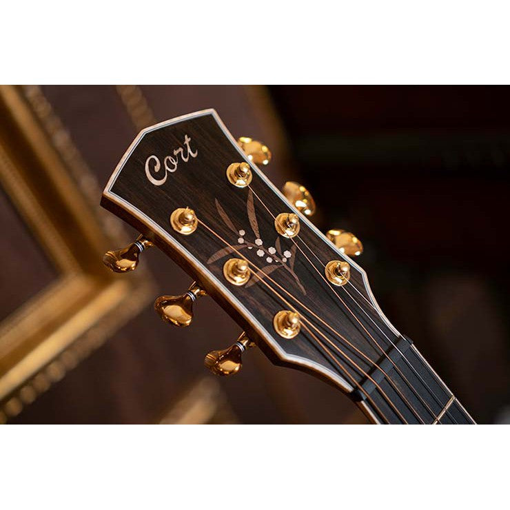 Đàn Guitar Acoustic Cort The Black Tree Limited Edition-Mai Nguyên Music