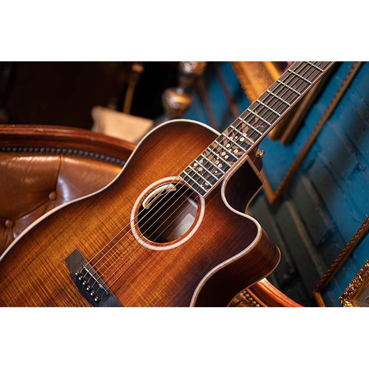 Đàn Guitar Acoustic Cort The Black Tree Limited Edition-Mai Nguyên Music