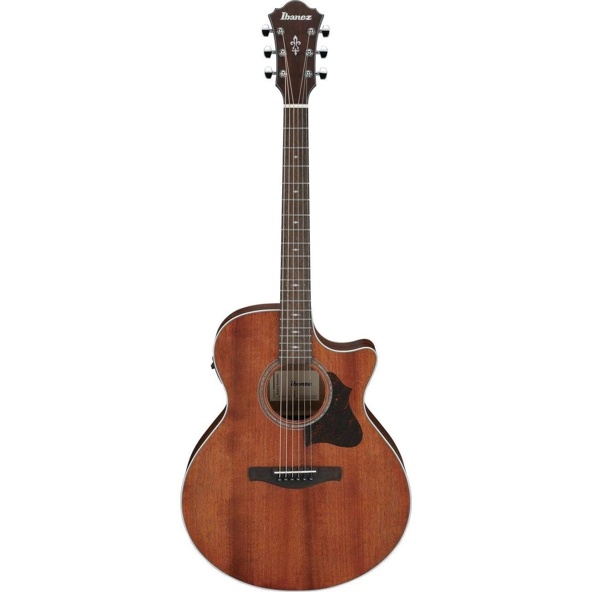 Đàn Guitar Acoustic Ibanez AE140-Mai Nguyên Music