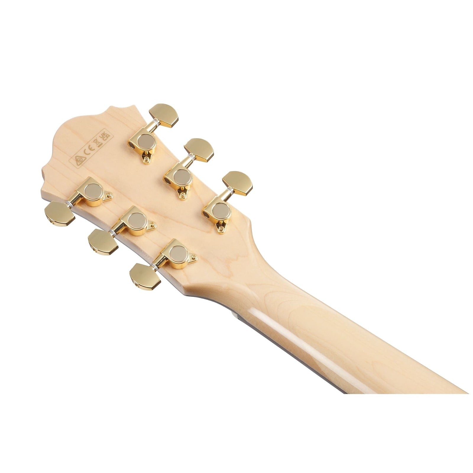 Đàn Guitar Acoustic Ibanez AE390-Mai Nguyên Music