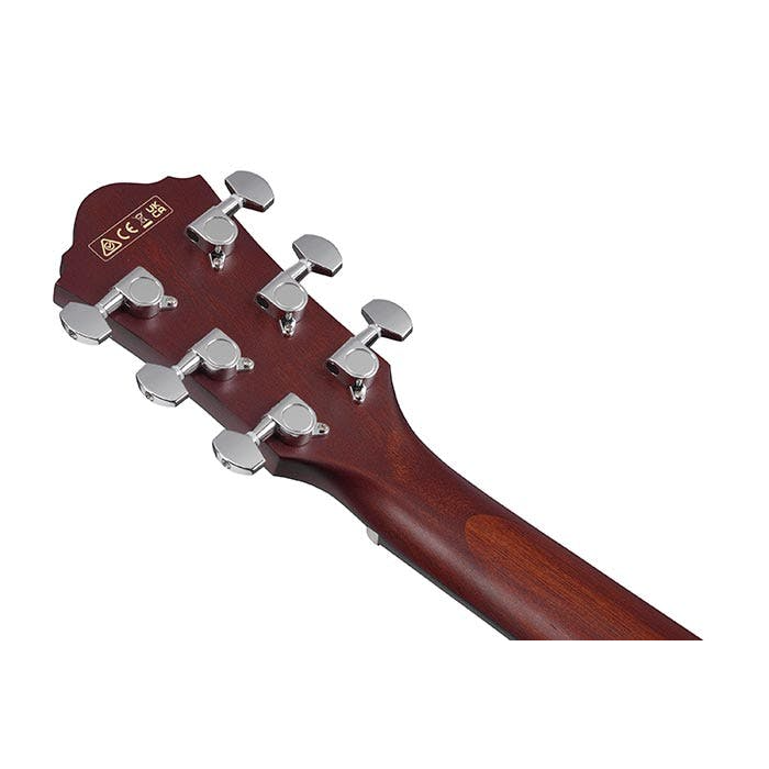 Đàn Guitar Acoustic Ibanez AEG50-Mai Nguyên Music