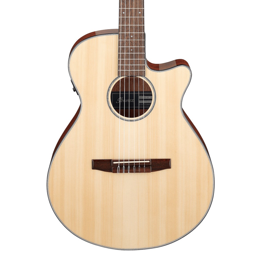 Đàn Guitar Acoustic Ibanez AEG50N Nylon-String-Mai Nguyên Music