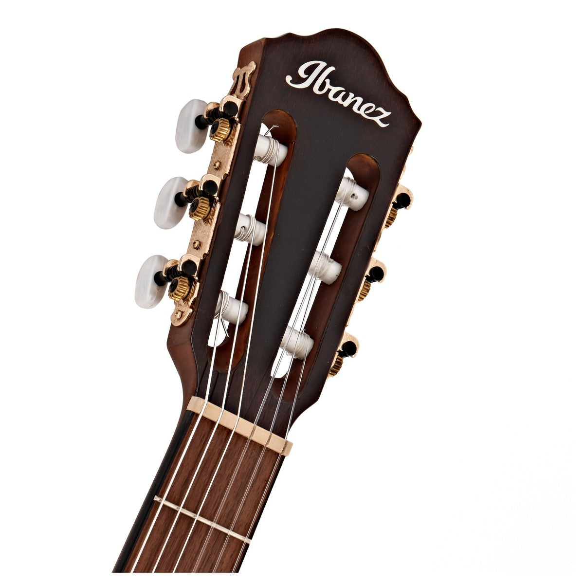 Đàn Guitar Acoustic Ibanez AEG50N Nylon-String-Mai Nguyên Music