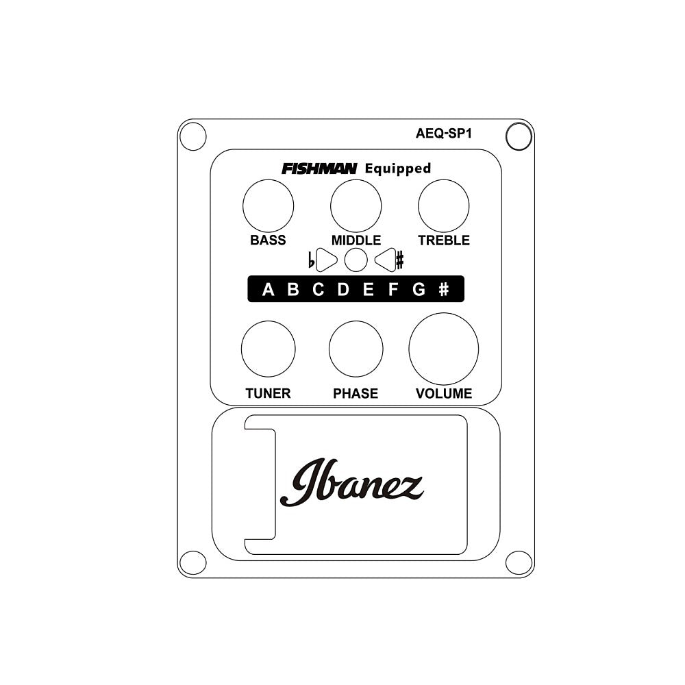 Đàn Guitar Acoustic Ibanez AEWC13-Mai Nguyên Music