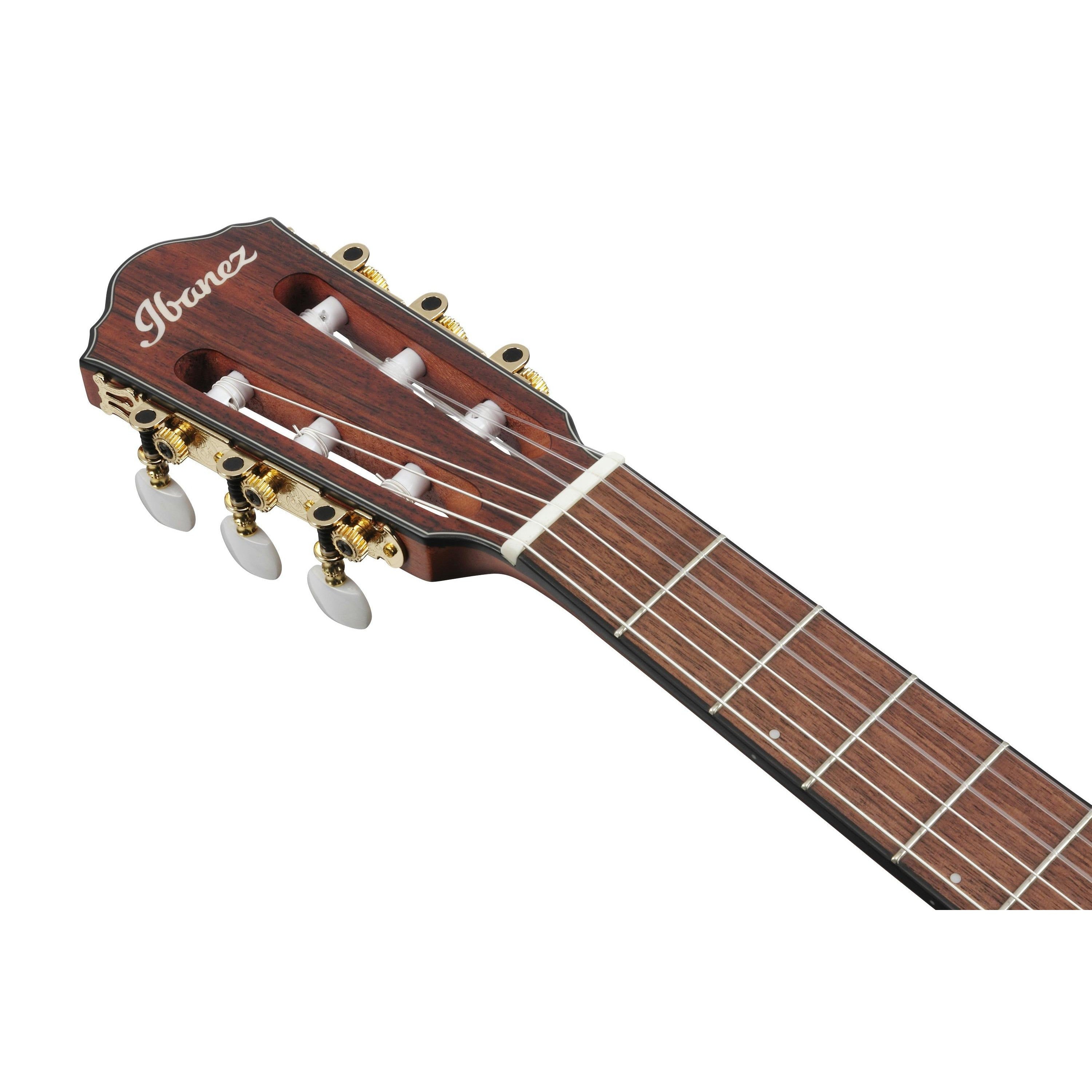 Đàn Guitar Acoustic Ibanez FRH10N Nylon-string-Mai Nguyên Music