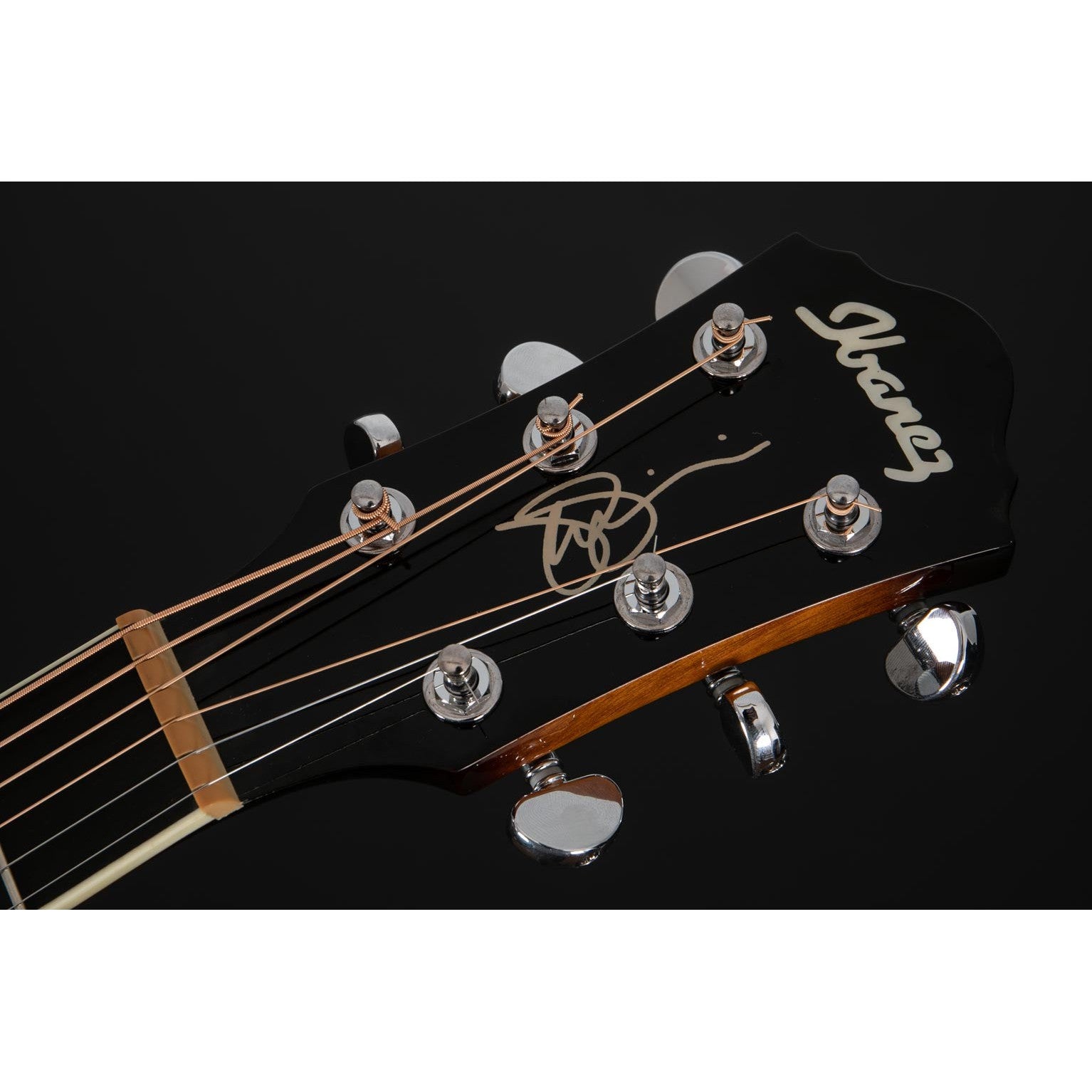 Đàn Guitar Acoustic Ibanez JSA20 Joe Satriani Signature-Mai Nguyên Music