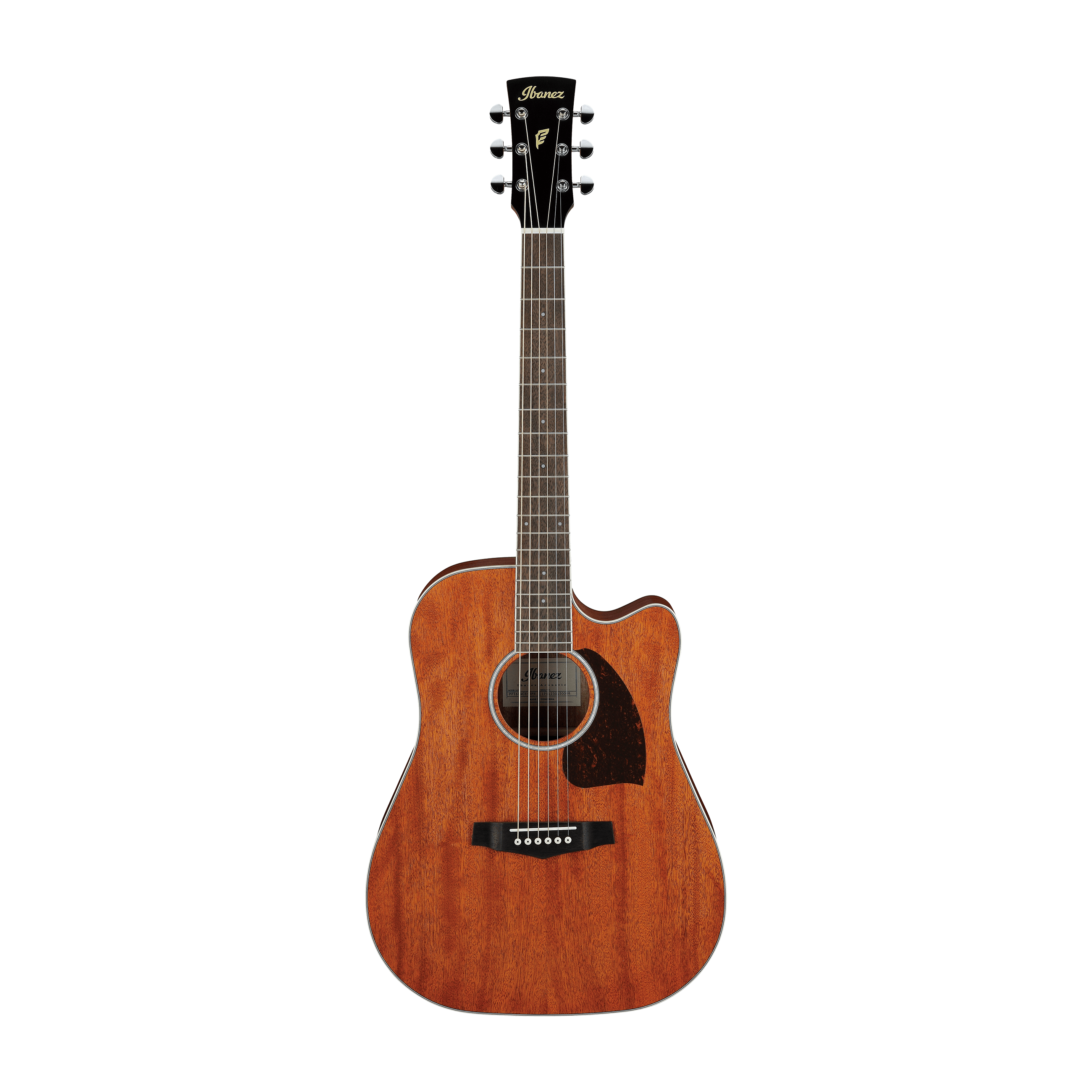 Đàn Guitar Acoustic Ibanez PF16MWCE-Mai Nguyên Music