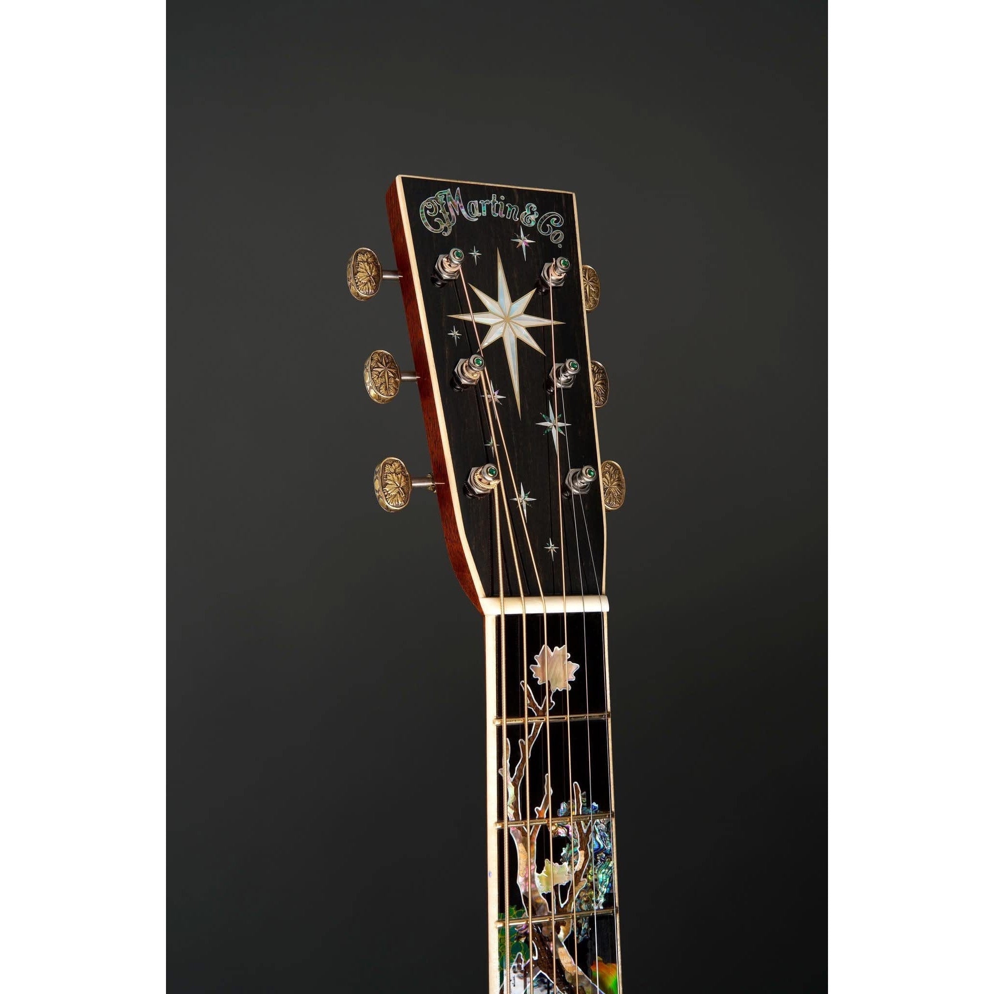 Đàn Guitar Acoustic Martin D-300 Limited Edition-Mai Nguyên Music