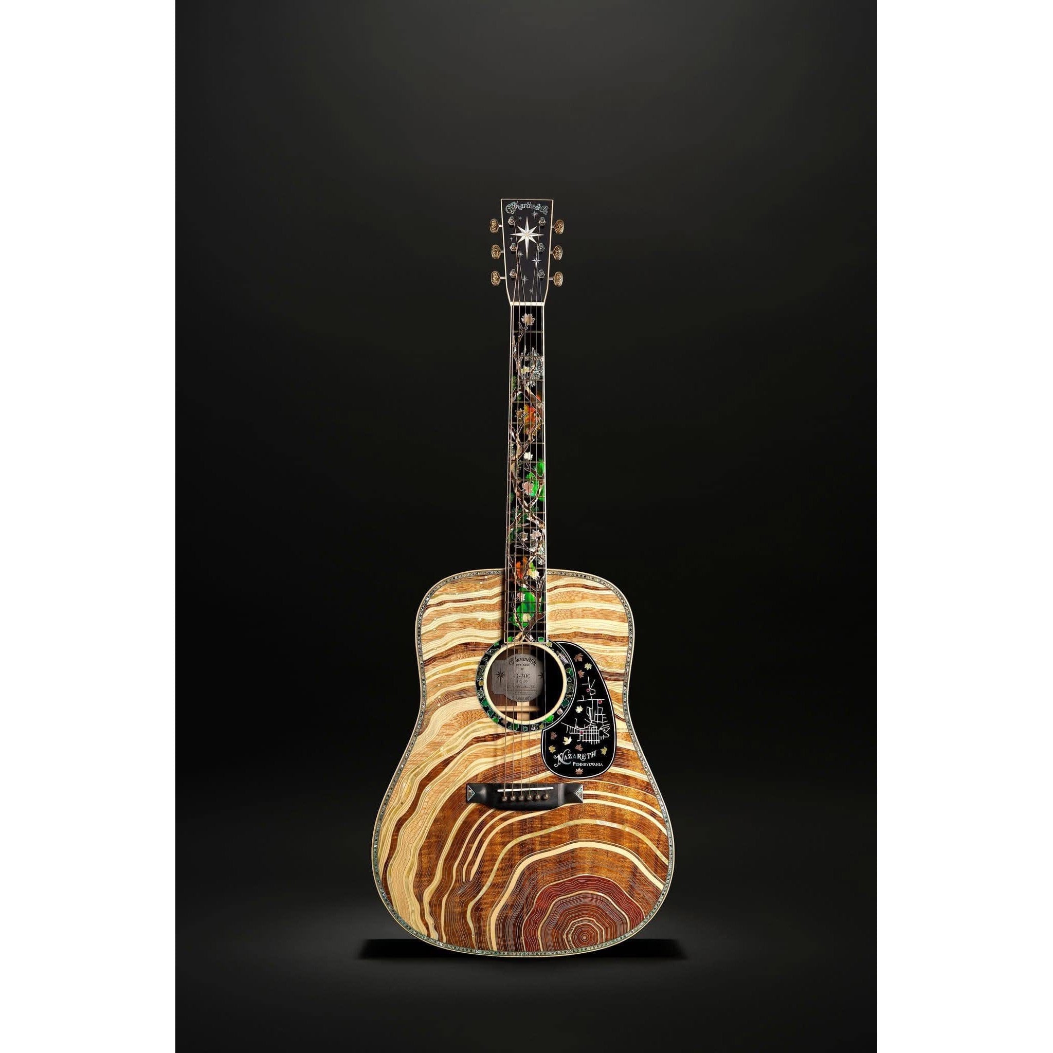 Đàn Guitar Acoustic Martin D-300 Limited Edition-Mai Nguyên Music