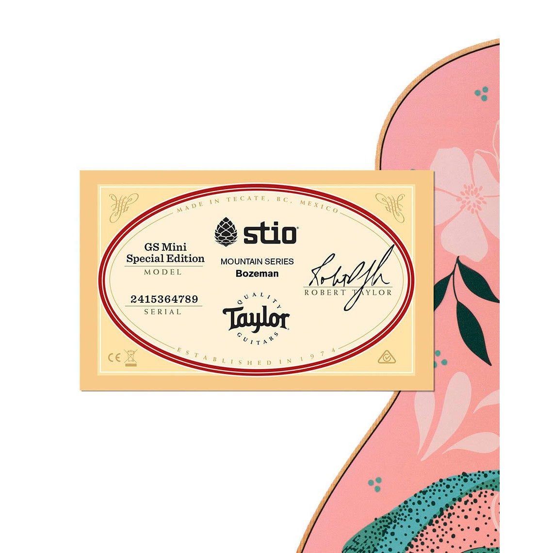 Đàn Guitar Acoustic Stio x Taylor Mtn Series-Mai Nguyên Music