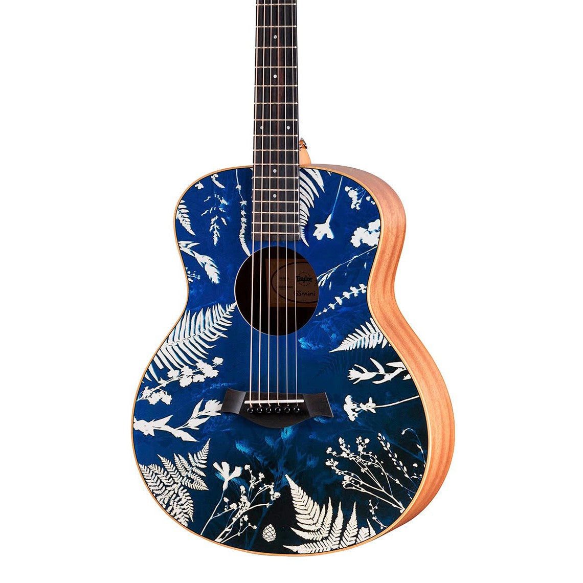 Đàn Guitar Acoustic Stio x Taylor Mtn Series-Mai Nguyên Music