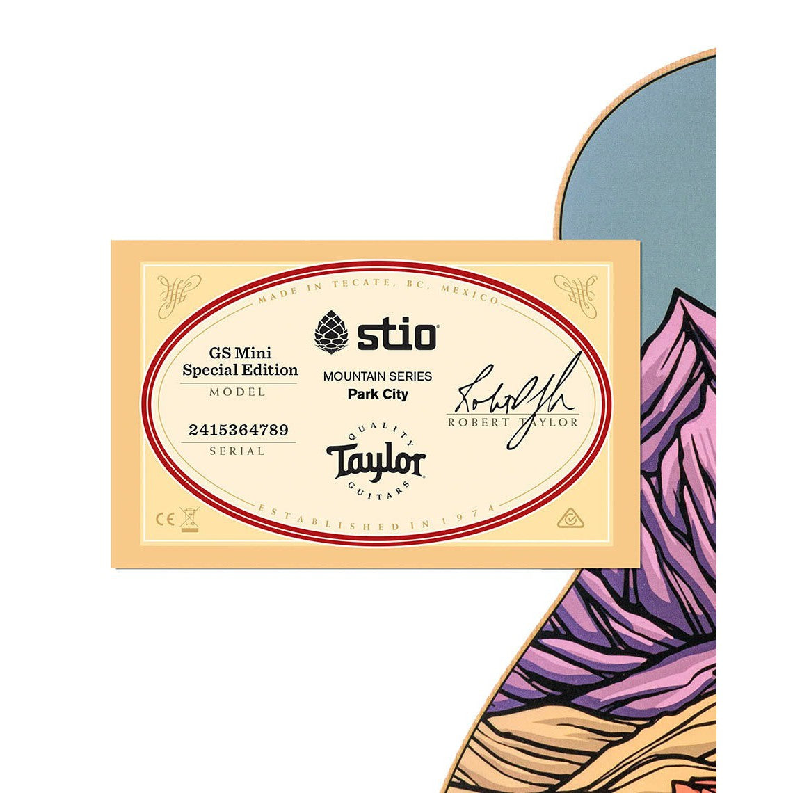 Đàn Guitar Acoustic Stio x Taylor Mtn Series-Mai Nguyên Music