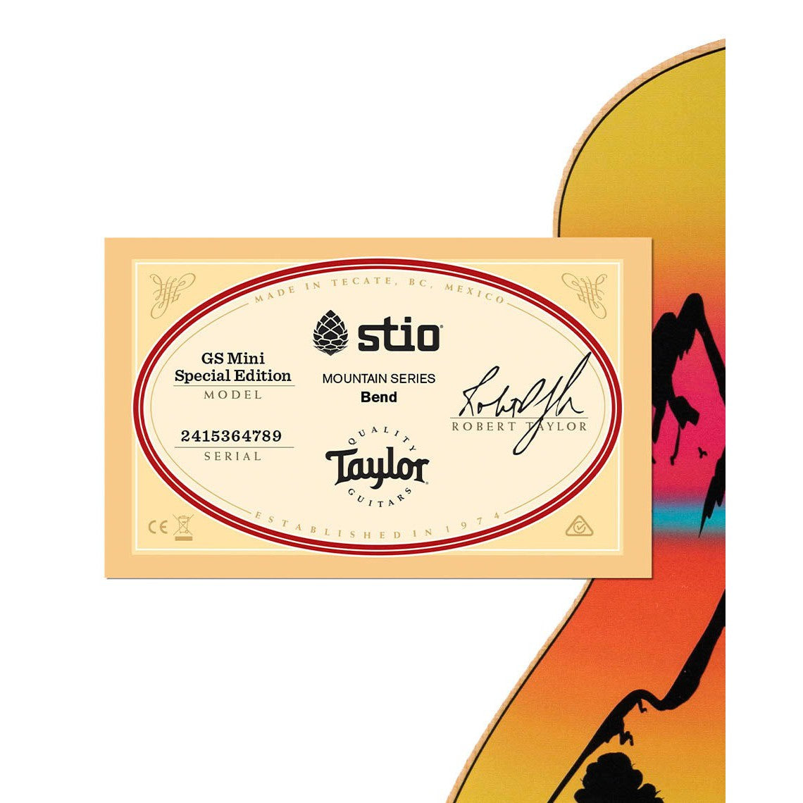 Đàn Guitar Acoustic Stio x Taylor Mtn Series-Mai Nguyên Music