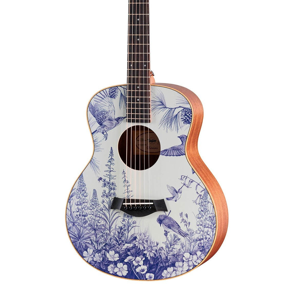 Đàn Guitar Acoustic Stio x Taylor Mtn Series-Mai Nguyên Music